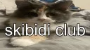 the skibidi club banner