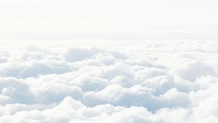 ౨ৎ . 🐚˚ ᴄᴏᴛᴛᴇɴʙᴇʟʟ ˚‧ ⋆ Discord server banner