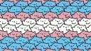 quack Discord server banner