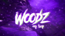 /Woodz🪵💨 Discord server banner