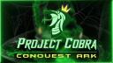 Project Cobra | On Hiatus Banner