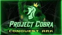 Project Cobra | On Hiatus Banner