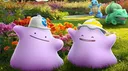 🪩  Ditto's Disco 🪩 banner