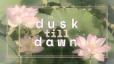 Dusk till Dawn ﹒ 🪷 ﹒boost us ! Discord server banner