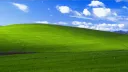 Toca do Pinguim banner