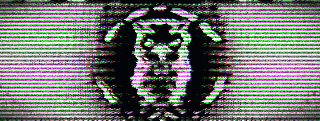 🦉LYKS™・Terre-Plein Central banner