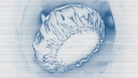 KyeBeezy Official Server™ Banner