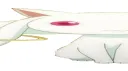zand her? I barely know her! Discord server banner