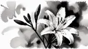 House of Lily banner