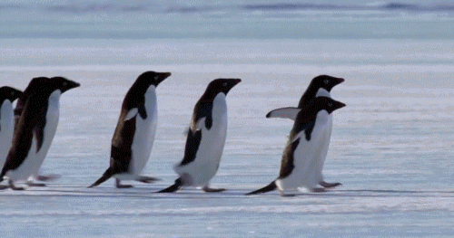 Come Yap with Us Discord server banner