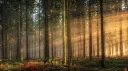 крашнули вейв banner