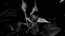 Vzqw’s community 💫 banner
