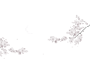 ˖ ۫ 𝒹σlια ۫ ⊹ banner