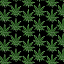 PAUSED borderlines & blunts Discord server banner