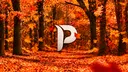 © Paradise Community ™ 🌸 banner