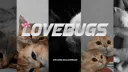 Lovebugs メ Social ◦ Chill ◦ Aesthetic ◦ Active Vcs ◦ Daily Giveaways banner