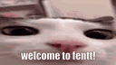 muh hideout banner