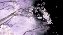 kursed server banner