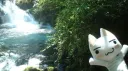 Los Verdaderos V2 ★ banner