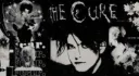 .... banner