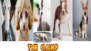 ┊ …The Cavern… ┊ Banner