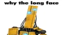 Reed’s Domain Discord server banner