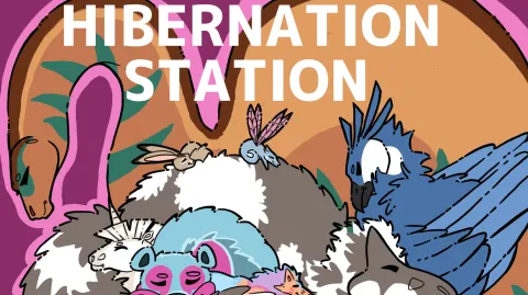 Hibernation Station banner