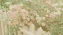 𓏵・solace・🪞 wip banner