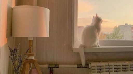 Chill Cafe Discord server banner