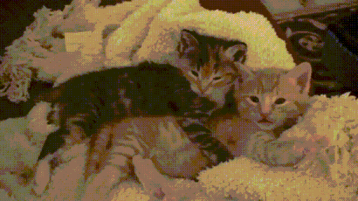 /pawsie Discord server banner