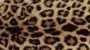 Make Friends | Vc server • Social • Chill • Chat • Active • Chatting • Voice Chat • Hangout banner