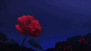 /Sunkys 艾 Discord server banner
