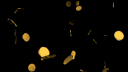 tokes banner