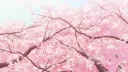 Sakura banner