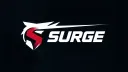 TEAM SURGE banner
