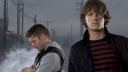 winchesters    ;        multi Discord server banner