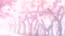 🌸 /mizu5 . ☆ 、♪ comeback! banner