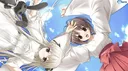 The SK banner