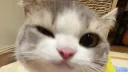 𝕲𝖍𝖔𝖘𝖙𝖌𝖚𝖗𝖑's Autism Place Discord server banner