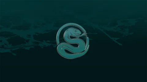 SKF STORE ✭ banner