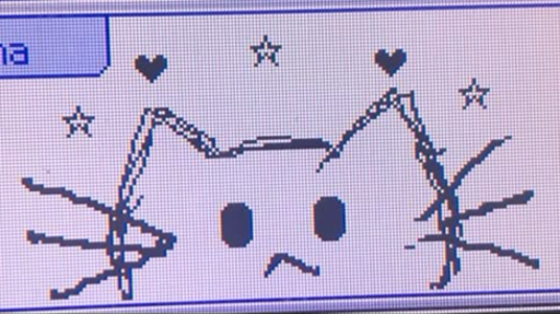 Tole Tole | silly cats Discord server banner