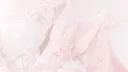 โโบส ๐ The coral reef๐ชธษโ Discord server banner