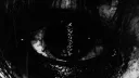 The Cult of Lying Angels server banner