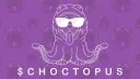 Choctopus Token Discord server banner