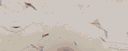 /Specials ۶ৎ  Social • Active • VC • Chill • Dating banner
