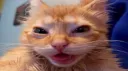 Scadutori Discord server banner