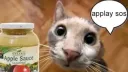 /applesauce banner