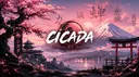 𝐂𝐈𝐂𝐀𝐃𝐀 / 𝐂𝐂𝐀 banner