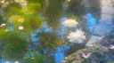 Xylia ˚˖ ⋆˙⟡  ¹⁸⁺ server banner