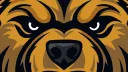 CSU Esports banner